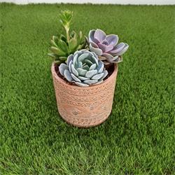 Centro Echeveria Ceramica Artesana M-15